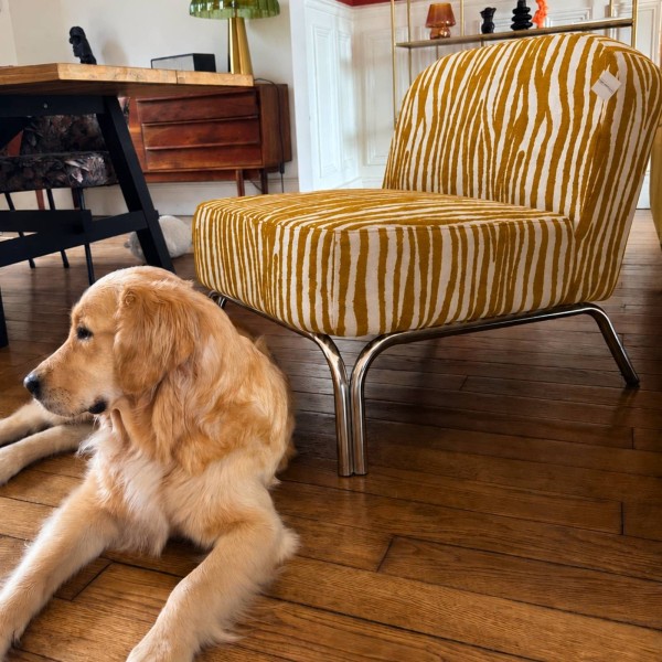 Fauteuil California Safari Moutarde