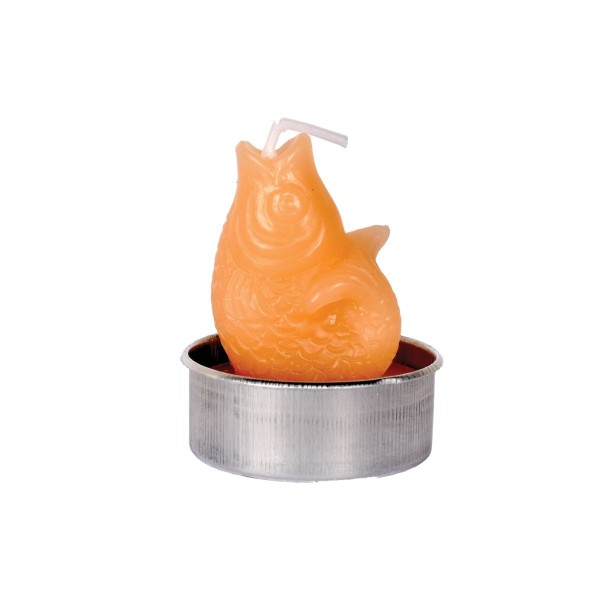 Set de 6 bougies chauffe-plat Poisson