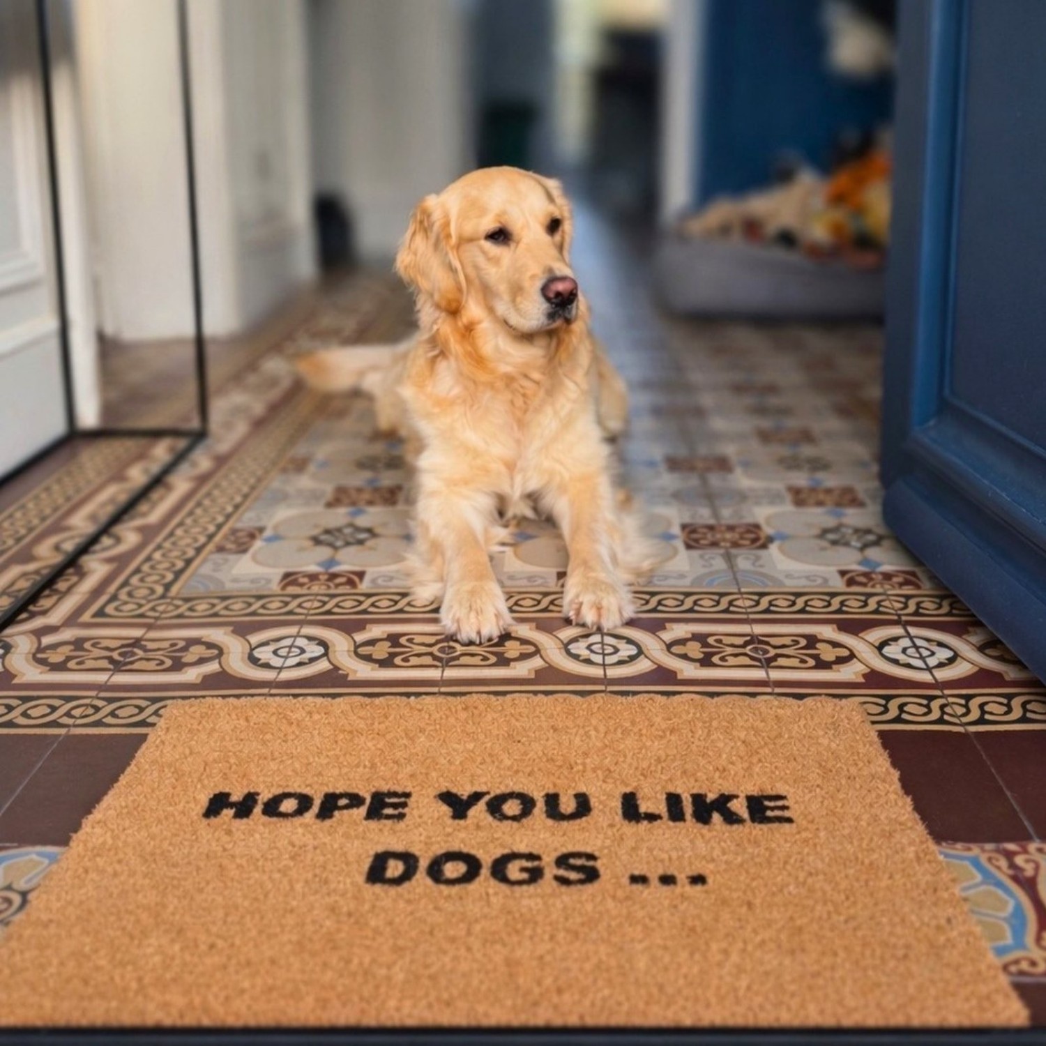Paillasson Hope You Like Dogs